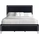 Ava Black California King Upholstered Panel Bed