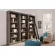 Avondale Rustic Gray 3 Tall Bookcase Wall with Ladder