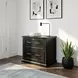 Abby Black Lateral File Cabinet