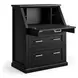 Abby Black Secretary Desk