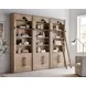 Willow Lane Brown 3 Piece Tall Bookcase with Ladder