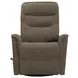 Dualis Snazzy Shiitake Manual Swivel Glider Recliner