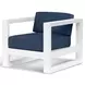 Newport Spectrum Indigo Outdoor Living Room Set