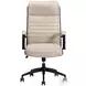 Dunwell Antique Linen Leather Desk Chair