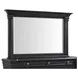 Paterson Black 10 Drawer Dresser and Rectangular Mirror
