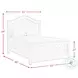 Conaughey Grey Queen Panel Bed