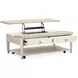 Whisperbay Sea Pearl and Driftwood Rectangular Lift Top Cocktail Table