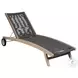 Odette Light Eucalyptus and Charcoal Rope Outdoor 72" Chaise Lounge Chair