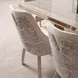 Carmela Shimmer Ivory and Almond Dining Arm Chair