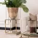 Savannah Breeze Bright Gold Square End Table