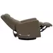 Dualis Snazzy Shiitake Manual Swivel Glider Recliner