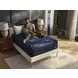 DreamCloud Ultra Hybrid White Queen Mattress