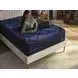 DreamCloud Ultra Hybrid White Queen Mattress
