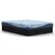 Dellyn White 8 Memory Foam Full Mattress