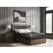 Millennium 2.0 Foam 14 Inch Black Queen Mattress