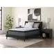 Destin Cove PT Blue King Mattress
