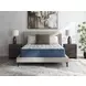 Limited Edition Plush 3.0 White Twin XL Mattress