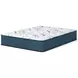 Limited Edition Plush 3.0 White Twin XL Mattress