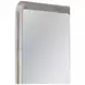 Berylon Silver Rectangular Floor Mirror