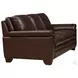 Ironvale Chestnut Leather Living Room Set