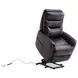 Gemini Truffle Lift Power Recliner