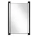 Langston Matte Black and Gold Rectangular Wall Mirror
