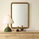 Somerset Antique Brass Rectangular Wall Mirror
