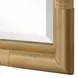 Riverton Antique Gold Rectangular Tall Wall Mirror