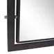 Hamilton Dark Bronze and Antique Brass Rectangular Tall Wall Mirror