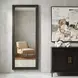 Hamilton Dark Bronze and Antique Brass Rectangular Tall Wall Mirror