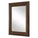 Arlington Antique Walnut and Gold Rectangular Wall Mirror