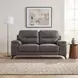 Mischa Dark Gray 67" Loveseat
