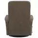 Dualis Snazzy Shiitake Manual Swivel Glider Recliner