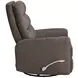 Takami Chocolate Swivel Recliner