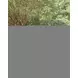 Ross Cove Dark Gray 42" Square Outdoor Counter Height Dining Room Set