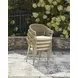 Ocean Park Beige Performance Fabric Outdoor Arm Chair with Cushion Set of 4