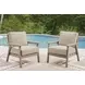 Cliffs Beach Gray Performance Fabric Outdoor Lounge Chair with Cushion Set of 2