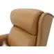 Philadelphia Santa Fe Brandy Leather Triple Power Recliner with USB Charging and Nailhead Trim