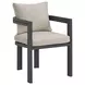 Fresca Dark Gray and Beige Outdoor Upholstered Dining Chair Set of 2
