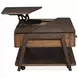 Hallie Milk Chocolate and Dark Chocolate Rectangular Lift Top Cocktail Table