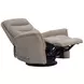 Dualis Snazzy Taupe Manual Swivel Glider Recliner