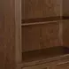 Roanoke Cherry Bookcase
