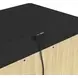 Woodridge Black 2 Drawer Nightstand with USB Charging