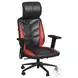 Salzburg Black And Red Adjustable Gaming Chair With LED Light