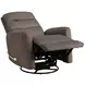 Takami Chocolate Swivel Recliner