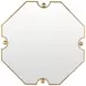 Monet Antique Brass Octagonal Large Accent Mirror