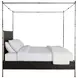 Reese Cerused Forest Black and Dark Antique Brass Canopy Bedroom Set