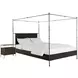 Reese Cerused Forest Black and Dark Antique Brass Canopy Bedroom Set