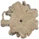 Hunter Light Teak Root Accent Table