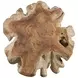 Hunter Natural Teak Root Accent Table